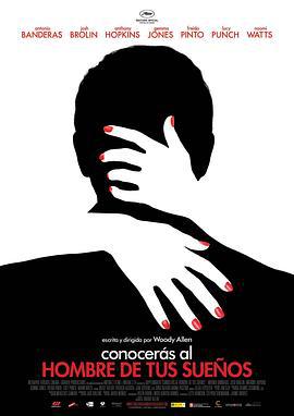 遭遇陌生人 You Will Meet A Tall Dark Stranger (2010)海报