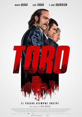 绝路反击 Toro (2016)海报