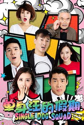 单身汪的假期 (2017)海报