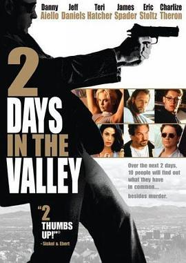 山谷两日 2 Days in the Valley (1996)海报