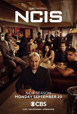 海军罪案调查处 第十九季 NCIS: Naval Criminal Investigative Service Season 19 (2021)海报