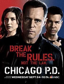 芝加哥警署 第二季 Chicago P.D. Season 2 (2014)海报