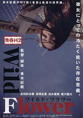 青春H2之狂野之花 Wild Flower (2011)海报