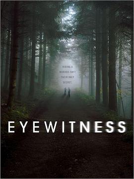 目击证人 Eyewitness (2016)海报