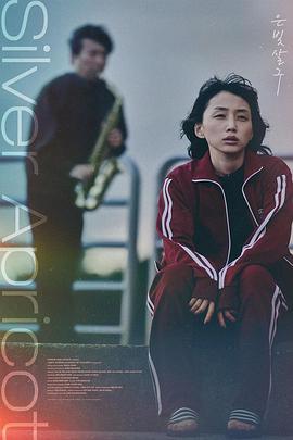 银杏子 은빛살구 (2024)海报
