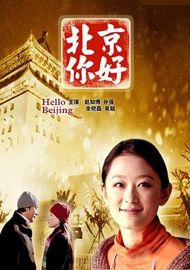 北京你好 (2005)海报