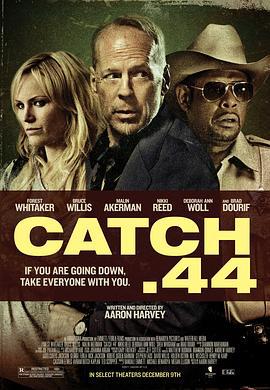 第44条军规 Catch .44 (2011)海报