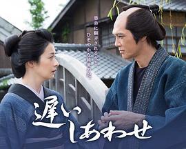 迟来的幸福 遅いしあわせ (2015)海报