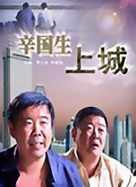 辛国生上城 (2007)海报