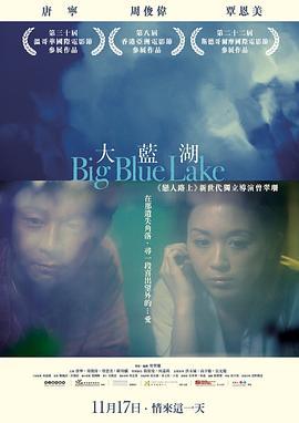 大蓝湖 大藍湖 (2011)海报