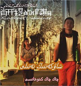 肖开提的假期 (2011)海报