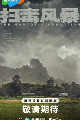 扫毒风暴 (2025)海报
