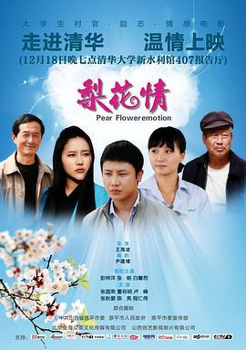 梨花情 (2012)海报