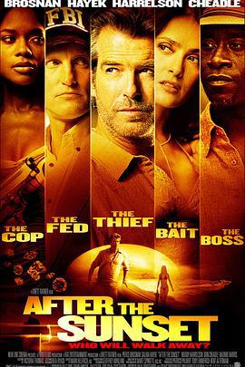 日落之后 After the Sunset (2004)海报