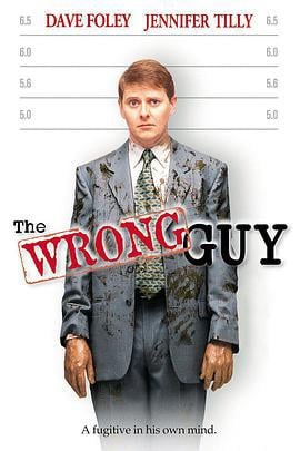搞错人 The Wrong Guy (1997)海报