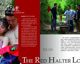 仙人坝的红衣兜 (2011)海报