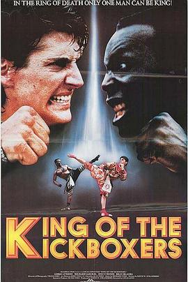 至尊战警 The King of the Kickboxers (1990)海报