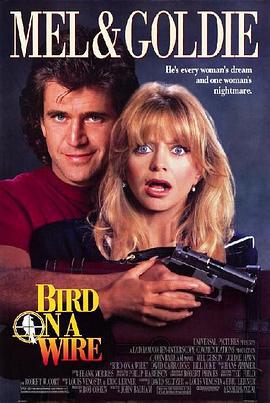 轰天俏娇娃 Bird on a Wire (1990)海报