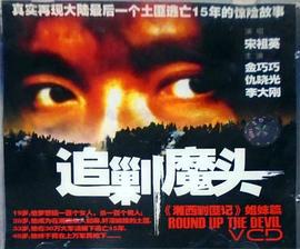 追剿魔头 (2003)海报