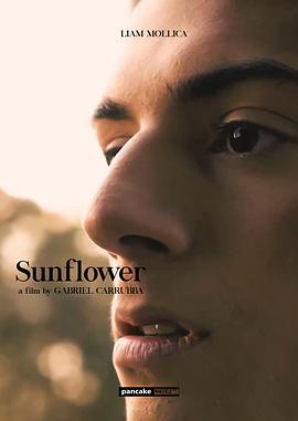 向日葵 Sunflower (2023)海报