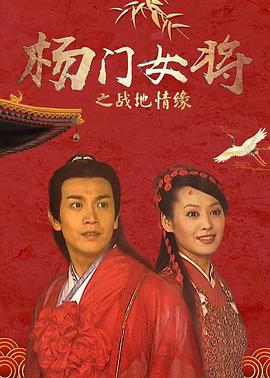 杨门女将之战地情缘 (2001)海报