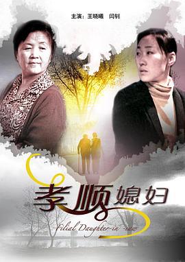 孝顺媳妇 (2009)海报