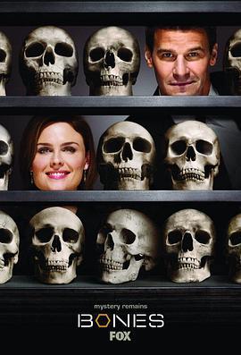 识骨寻踪 第四季 Bones Season 4 (2008)海报