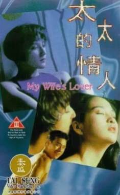 太太的情人海报
