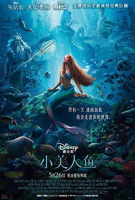 小美人鱼 The Little Mermaid (2023) tc海报