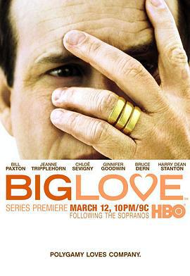 大爱 第一季 Big Love Season 1 (2006)海报