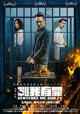 判我有罪 (2015)海报