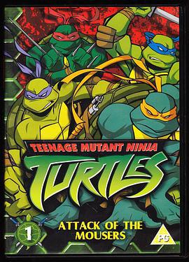 忍者神龟 第五季 Teenage Mutant Ninja Turtles Season 5 (2008)海报