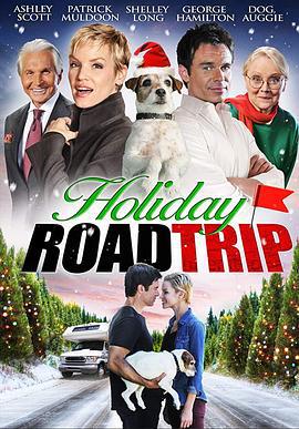 假日之旅 Holiday Road Trip (2013)海报