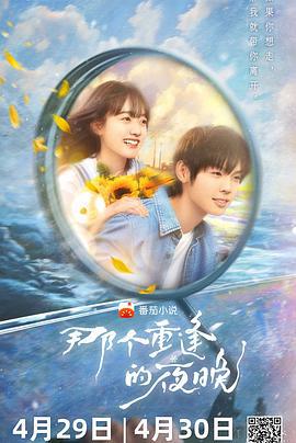那个重逢的夜晚 (2024)海报