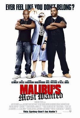 马里布绑票案 Malibu's Most Wanted (2003)海报
