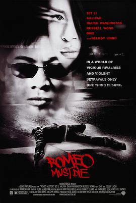 致命罗密欧 Romeo Must Die (2000)海报