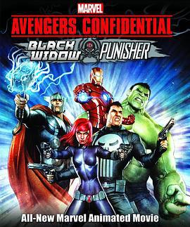 机密复仇者：黑寡妇与惩罚者 Marvel Avengers Confidential: Black Widow & Punisher (2014)海报