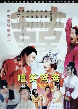 嘻笑鸳鸯 (1995)海报