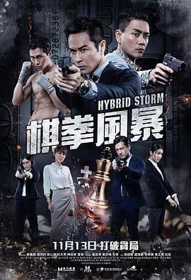 棋拳风暴 (2025)海报