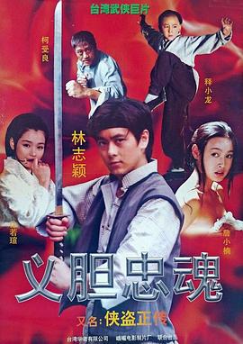 侠盗正传 (1998)海报