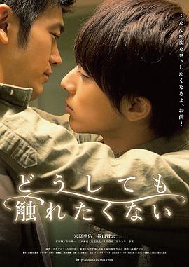 无法触碰的爱 どうしても触れたくない (2014)海报