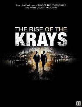克雷兄弟的崛起 The Rise of the Krays (2015)海报
