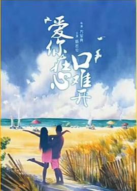 爱你在心口难开 (2001)海报
