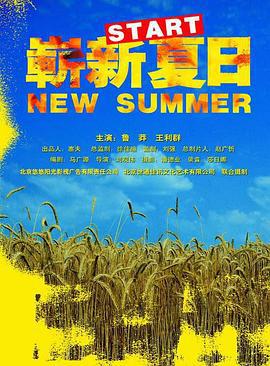 崭新夏日 (2004)海报
