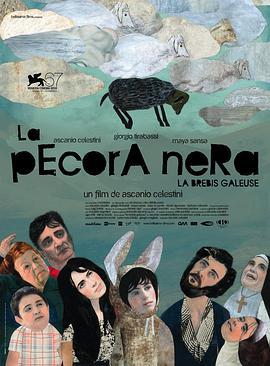 黑羊 La pecora nera (2010)海报