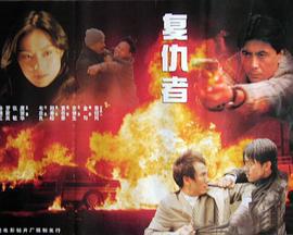 复仇者 (1996)海报