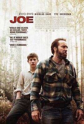 乔 Joe (2013)海报