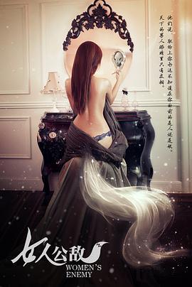 女人公敌 (2013)海报