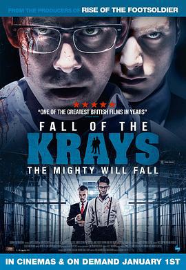 克雷兄弟的秋天 The Fall of the Krays (2016)海报