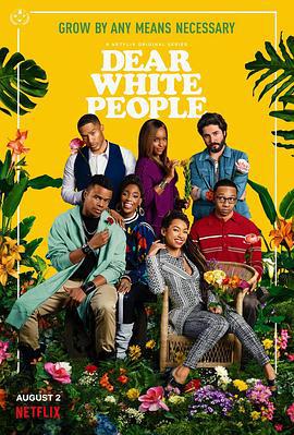 亲爱的白种人 第三季 Dear White People Season 3 (2019)海报